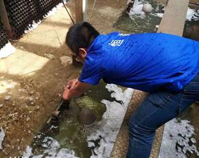 南京冷却塔清洗水质处理